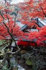 69影院伦理电影手机免费-69影院伦理电影，手机免费观影的伦理边界与文化反思