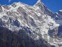 大象传媒主页-探索大象传媒主页，数字时代的文化传播新阵地