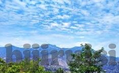 麻豆传媒在哪-探索麻豆传媒的真实面貌与网络影视的真实价值