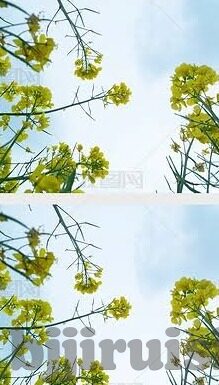 麻豆精品视频福利免费-寻觅网络角落的温馨——麻豆精品视频福利的意外发现